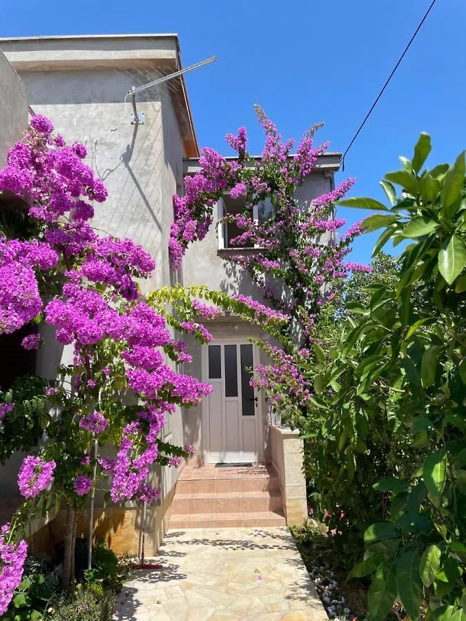 Apartments Flowers - By Ta Leut Agency Привлака