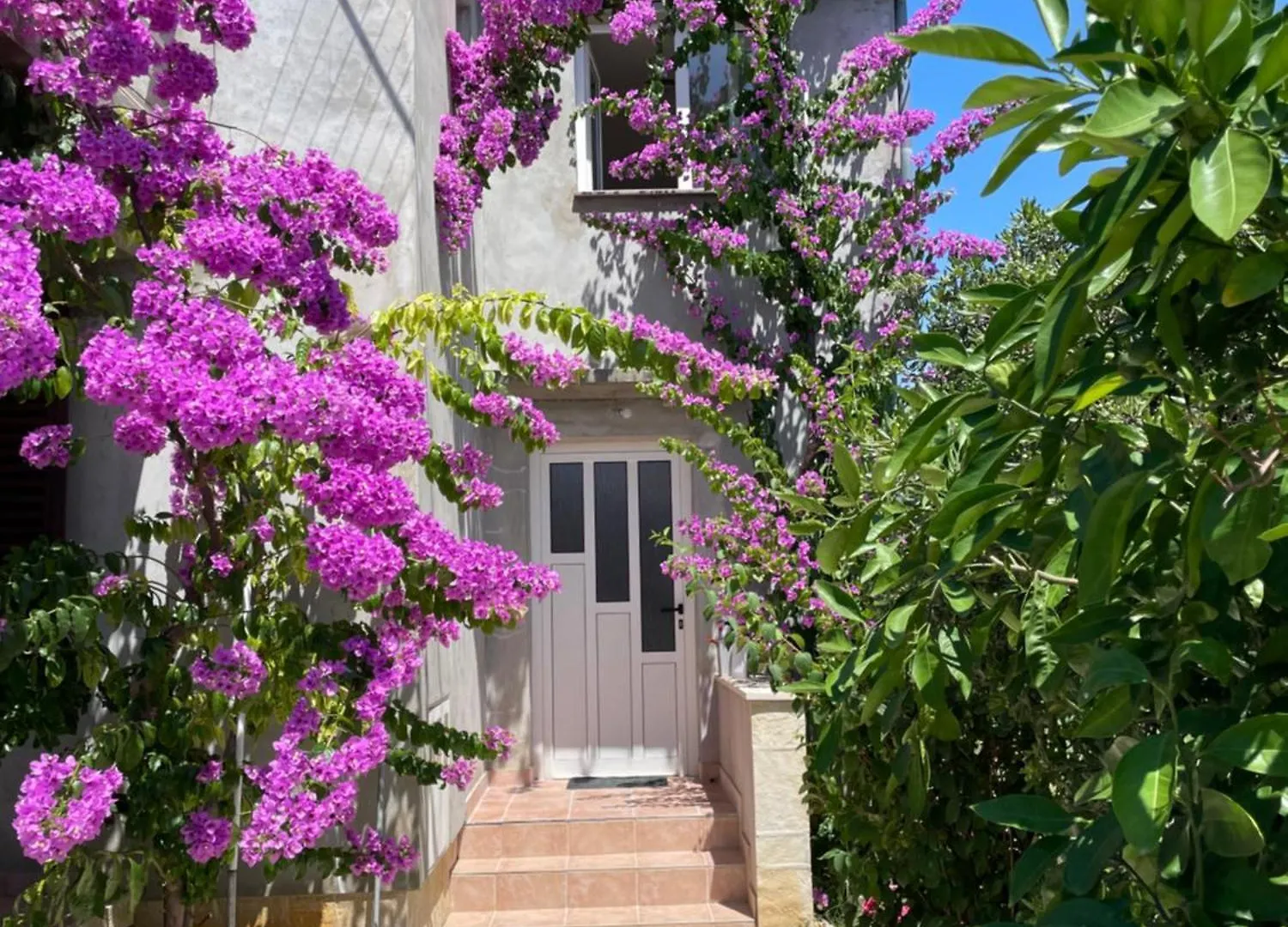 Apartments Flowers - By Ta Leut Agency Привлака Хорватия
